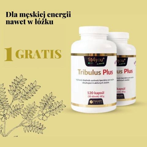 1+1 GRATIS: Buzdyganek i maca peruwiańska