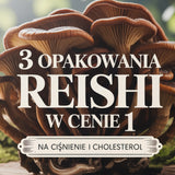 3 opakowania Reishi premium w cenie 1