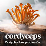 PROMOCJA Pakiet 1+1 GRATIS Kordyceps Himalajski