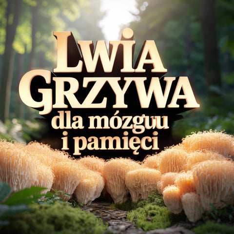PROMOCJA Pakiet 1+1 GRATIS Kordyceps Himalajski